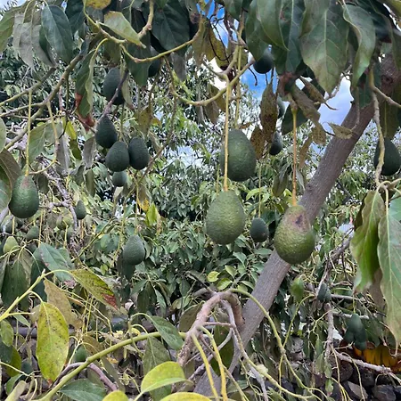 Ferienhaus Casa El Granero De Antonio *