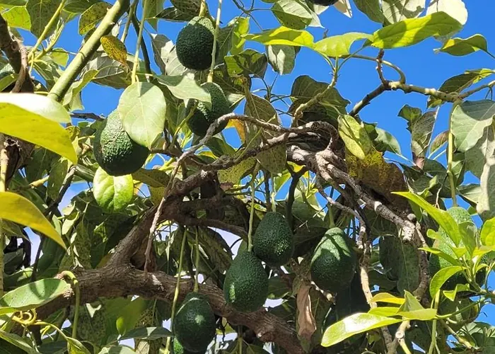 Casa El Granero De Antonio *
