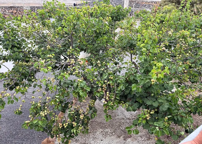 Casa El Granero De Antonio Semesterbostad San Miguel de Abona