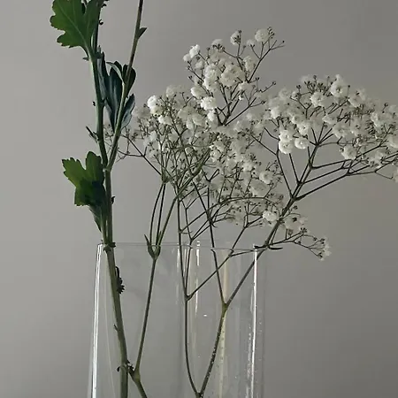 Casa El Granero De Antonio * San Miguel de Abona