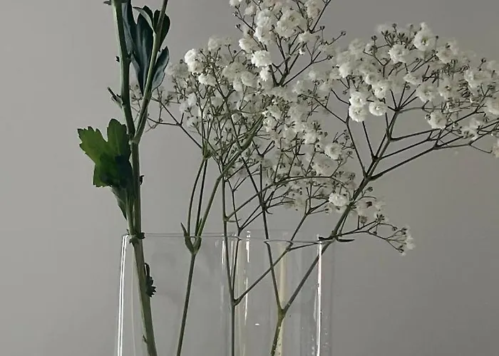 Casa El Granero De Antonio * San Miguel de Abona