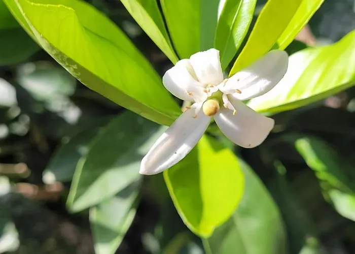 Casa El Granero De Antonio Casa vacanze