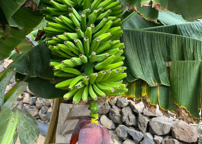 Vakantiehuis Casa El Granero De Antonio