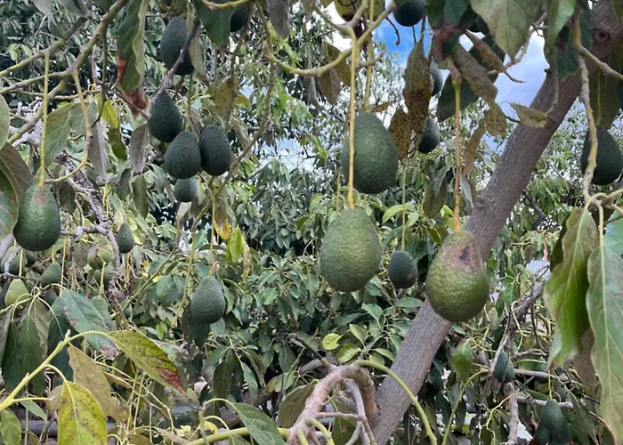 Holiday home Casa El Granero De Antonio *