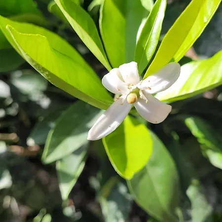 Casa El Granero De Antonio Tatil Evi