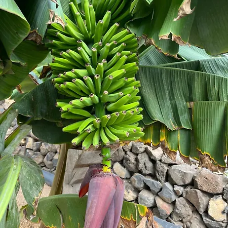 Tatil Evi Casa El Granero De Antonio